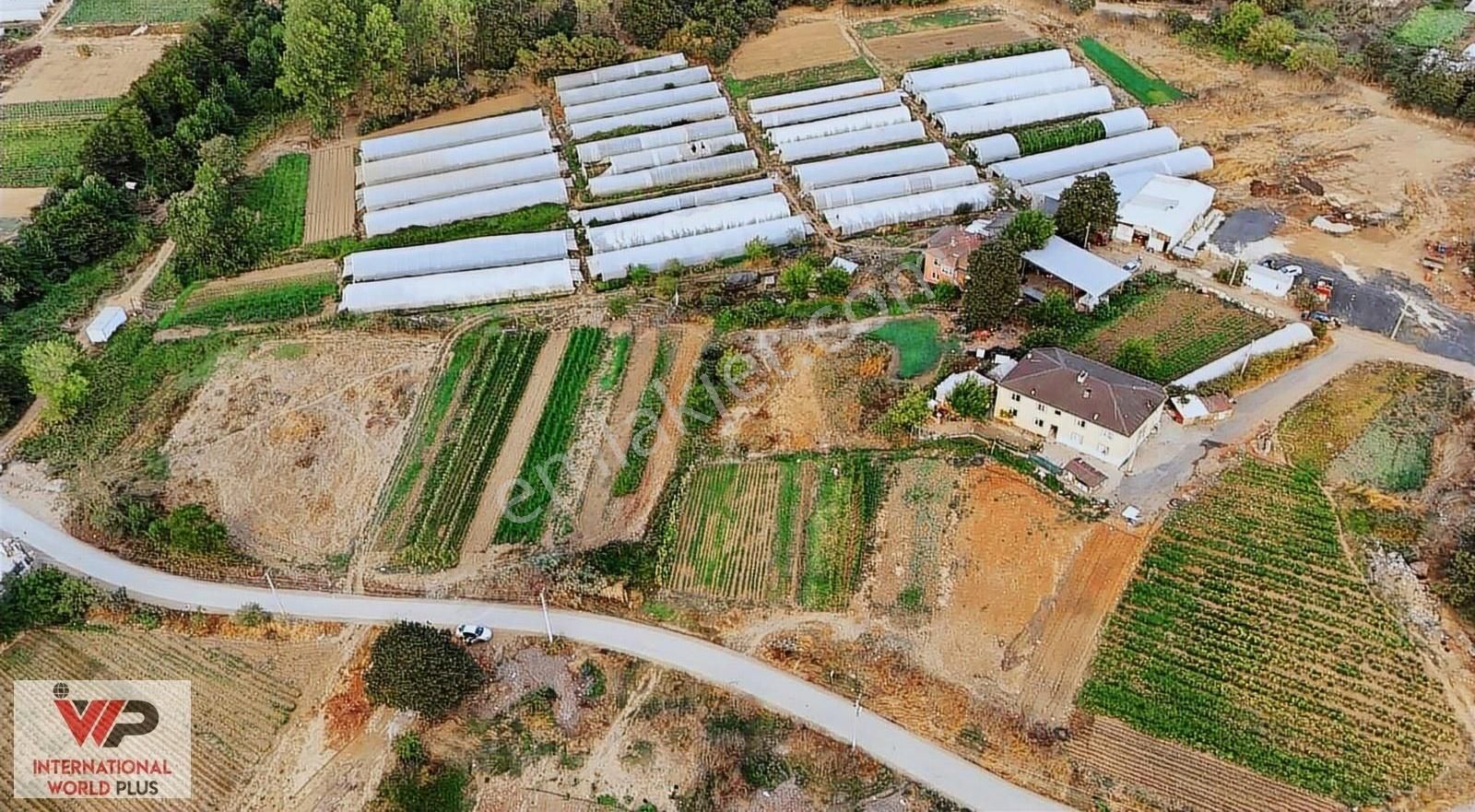 Gebze'nin İncisi Cumaköy'de Kaçırılmayacak Arazi