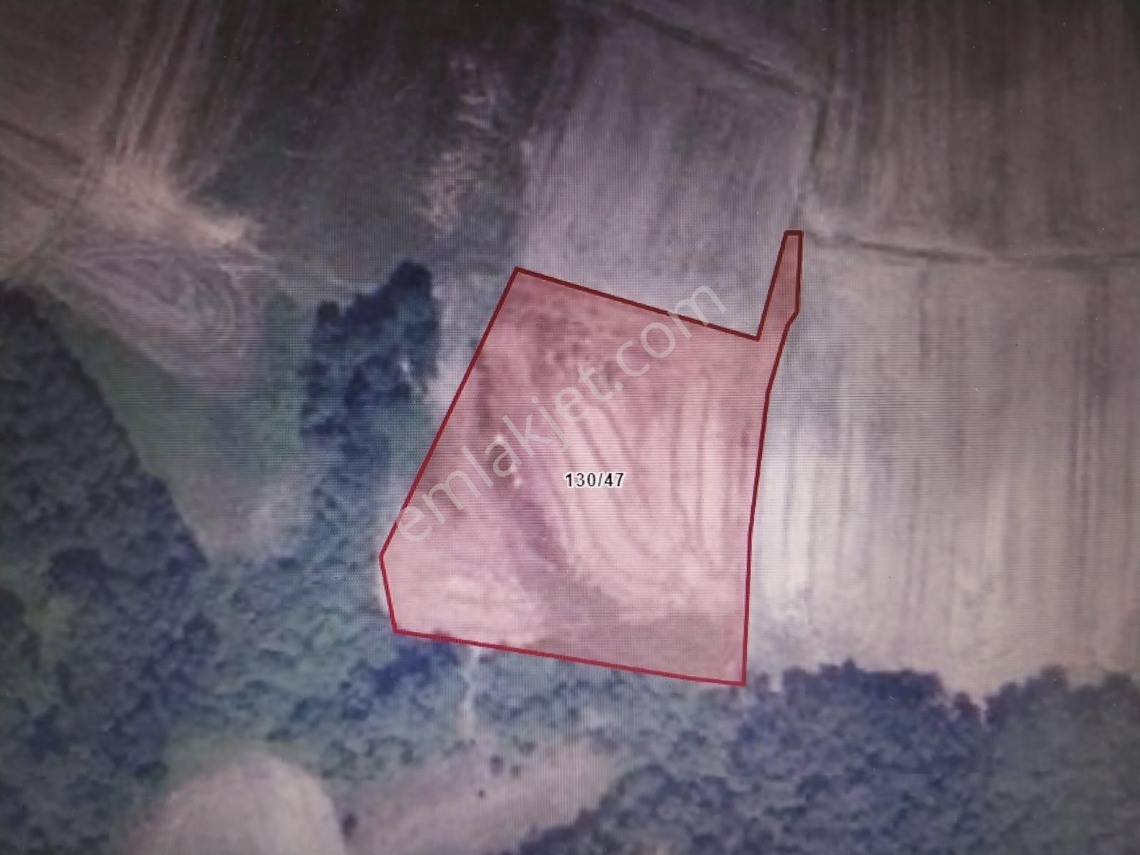 İstanbul Çatalca Akalan Mah. De Satlık Hisseli Yatırımlık Tarla - Görsel 2