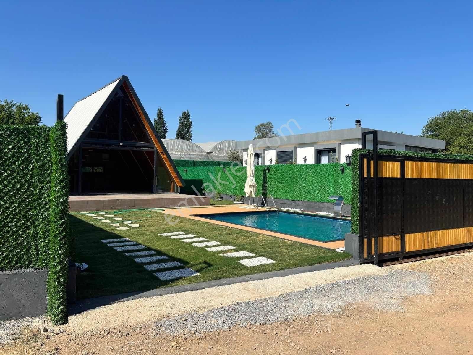 Bal Gayrimenkul-modern Tasarım Bungalov Ve Havuzlu Müstakil Bahçe - Görsel 2