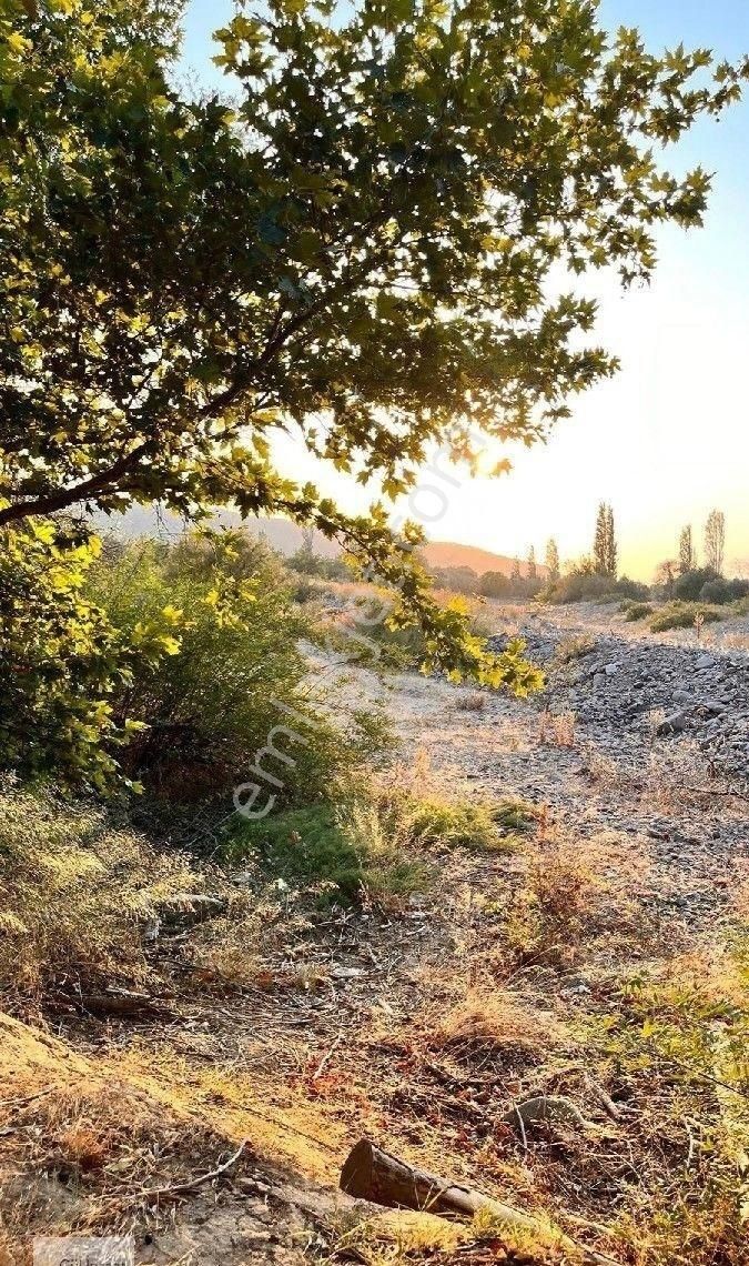 Burhaniye Bahadınlı Mahallesi'nde Bahçearasi Mevkkinde Satılık Bahçe - Görsel 34