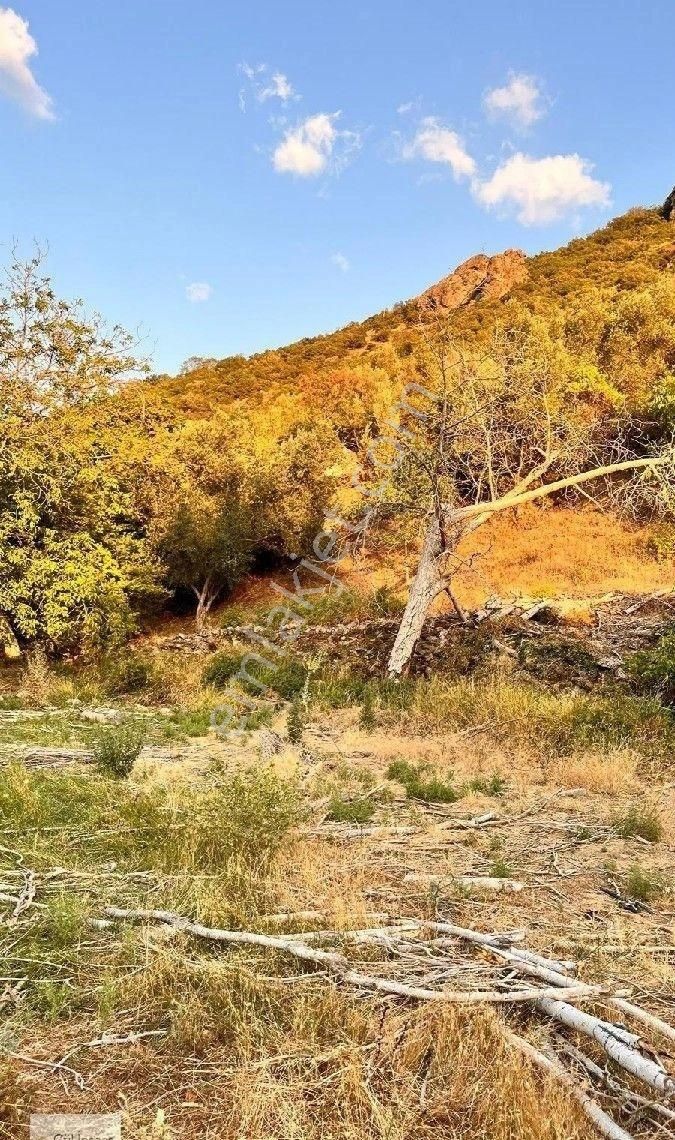 Burhaniye Bahadınlı Mahallesi'nde Bahçearasi Mevkkinde Satılık Bahçe - Görsel 33