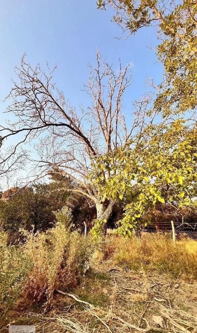 Burhaniye Bahadınlı Mahallesi'nde Bahçearasi Mevkkinde Satılık Bahçe - Görsel 10