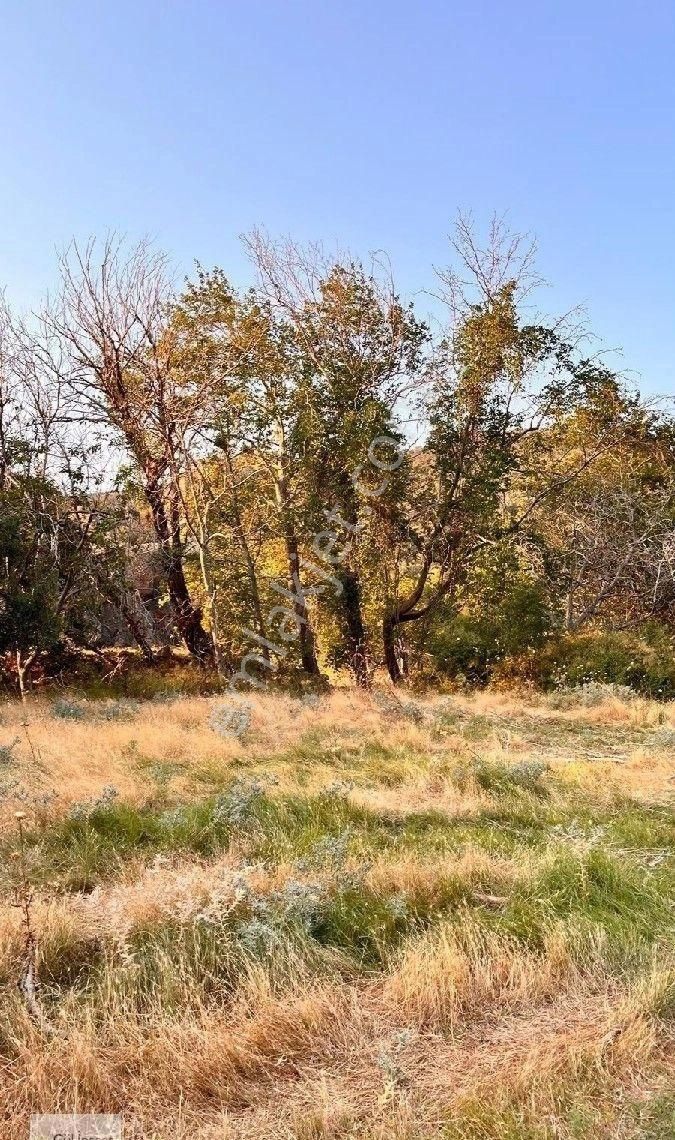 Burhaniye Bahadınlı Mahallesi'nde Bahçearasi Mevkkinde Satılık Bahçe - Görsel 32