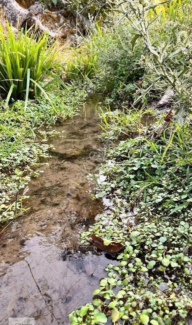 Burhaniye Bahadınlı Mahallesi'nde Bahçearasi Mevkkinde Satılık Bahçe - Görsel 31