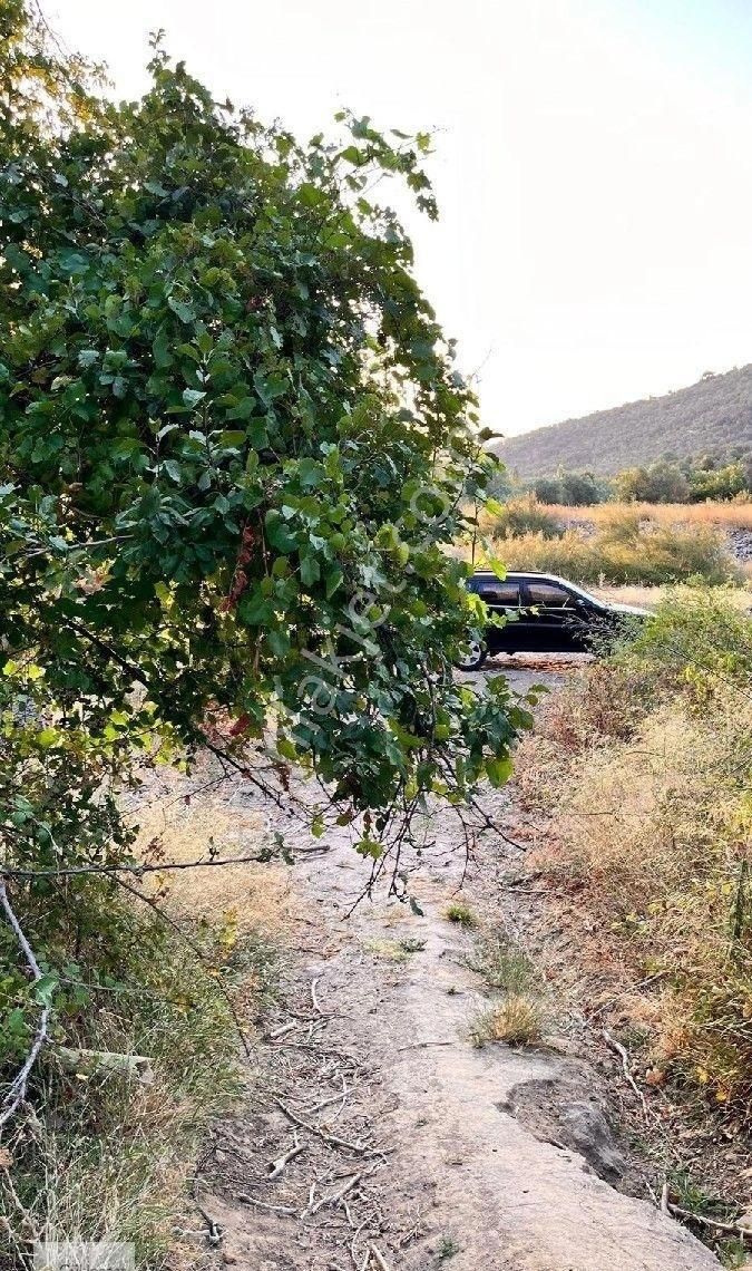 Burhaniye Bahadınlı Mahallesi'nde Bahçearasi Mevkkinde Satılık Bahçe - Görsel 6