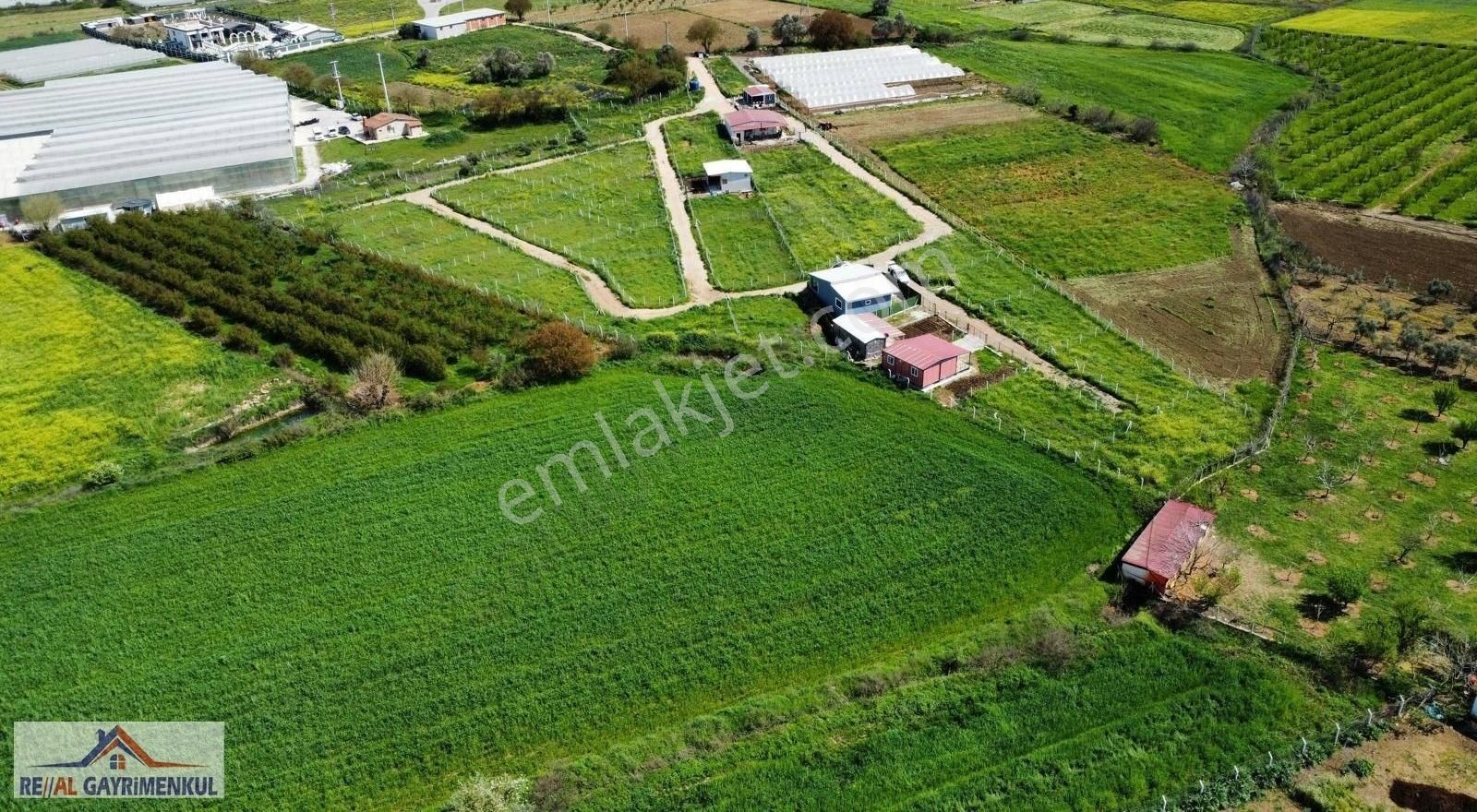 Real'den Menderes Sancaklı'da 240 M2 Kooperatif Hisse - Görsel 29