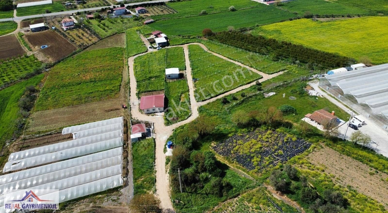 Real'den Menderes Sancaklı'da 240 M2 Kooperatif Hisse - Görsel 3