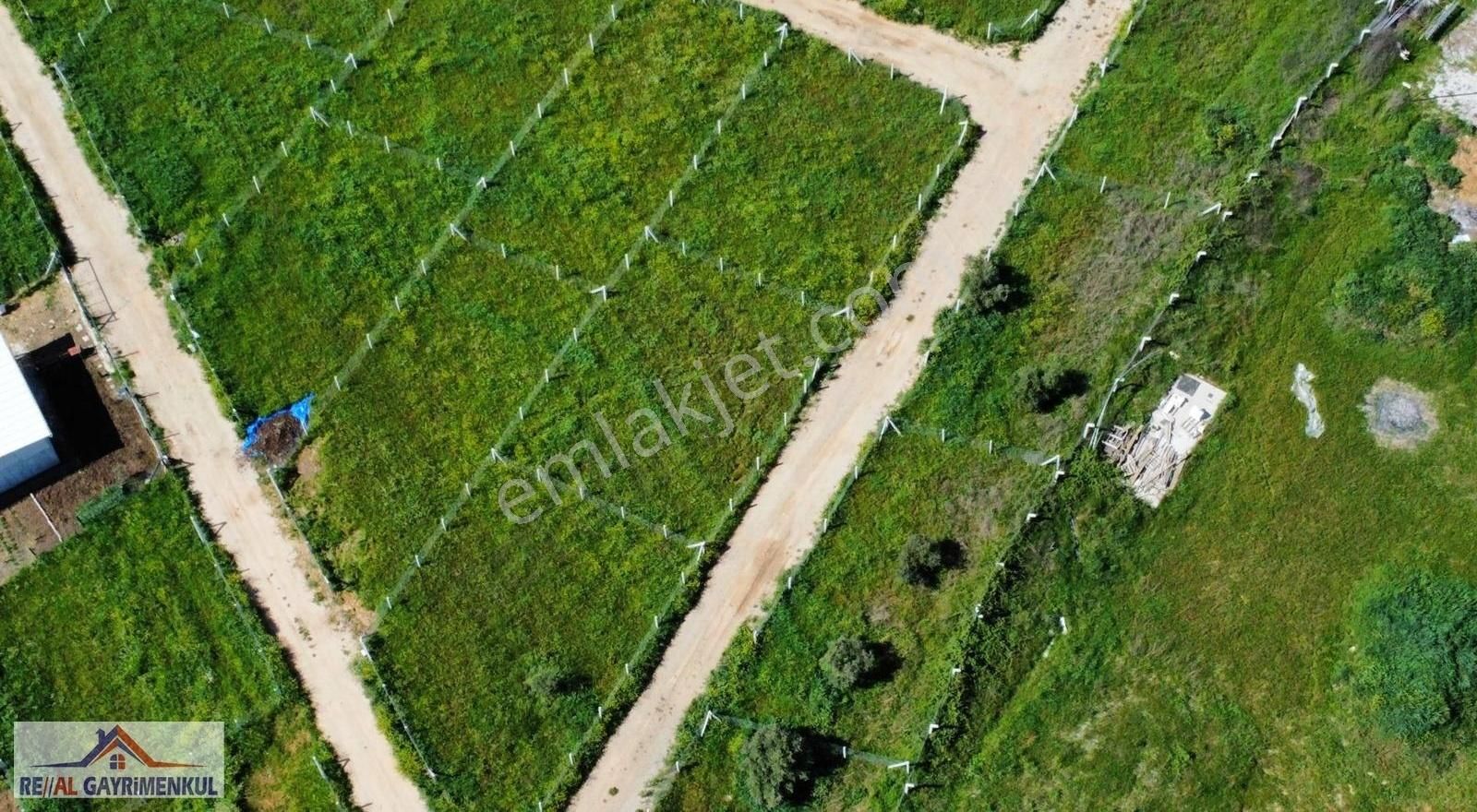 Real'den Menderes Sancaklı'da 240 M2 Kooperatif Hisse - Görsel 15