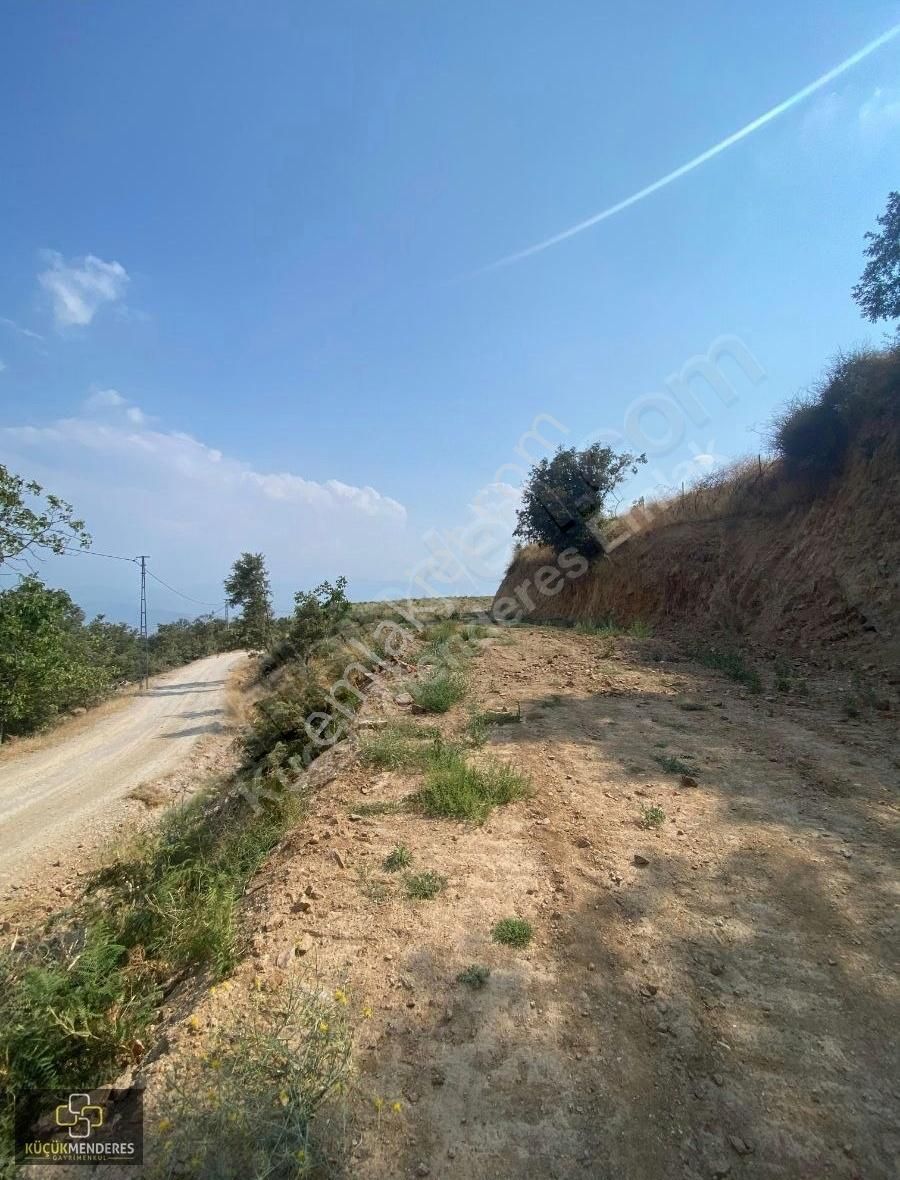 Küçük Menderes'ten Kiraz Pınarbaşı Mah. Manzaralı Hobi Bahçesi - Görsel 25