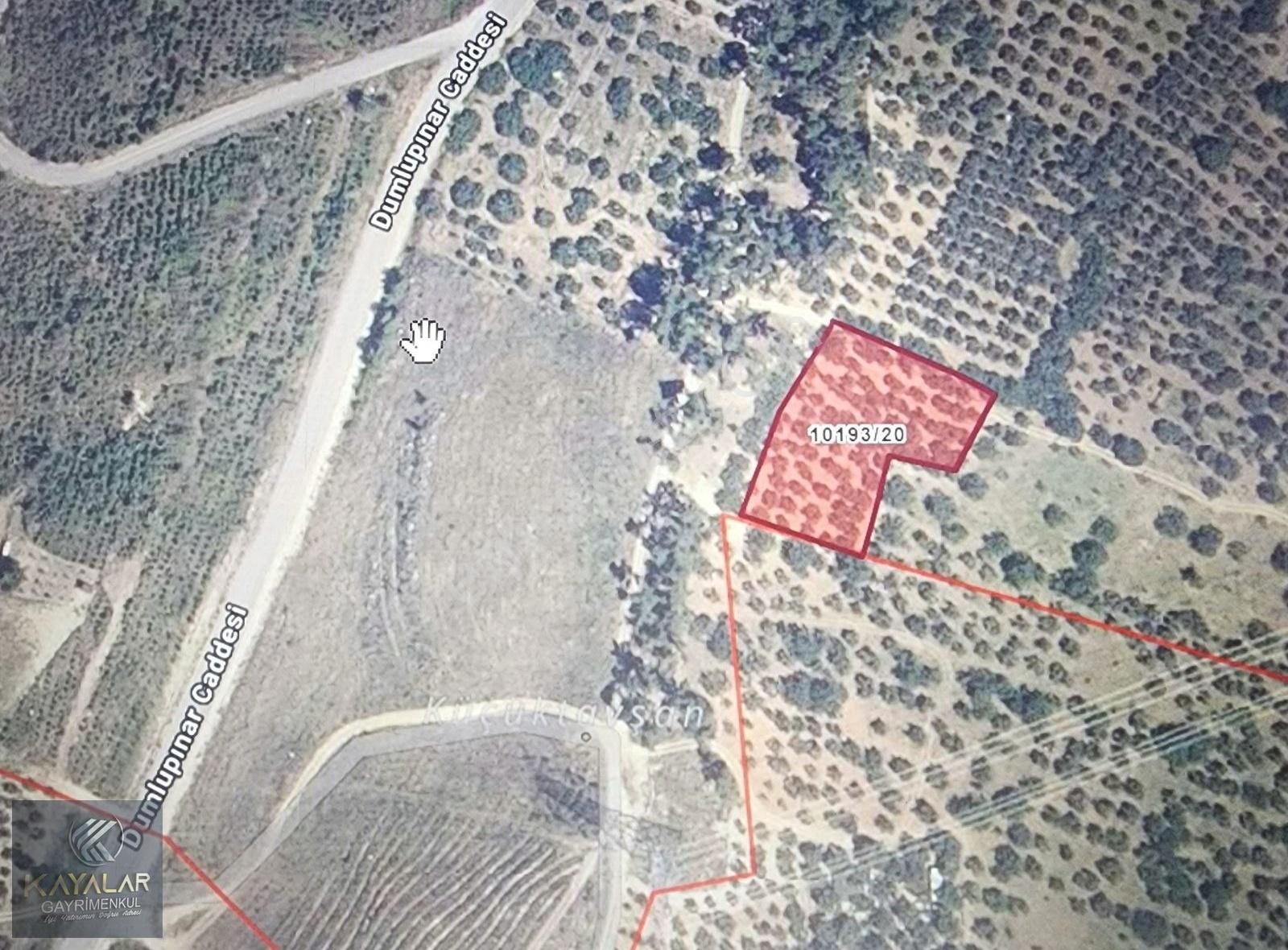 Gündoğduda Manzaralı Değerli Yatırımlık Tek Tapu Arazi