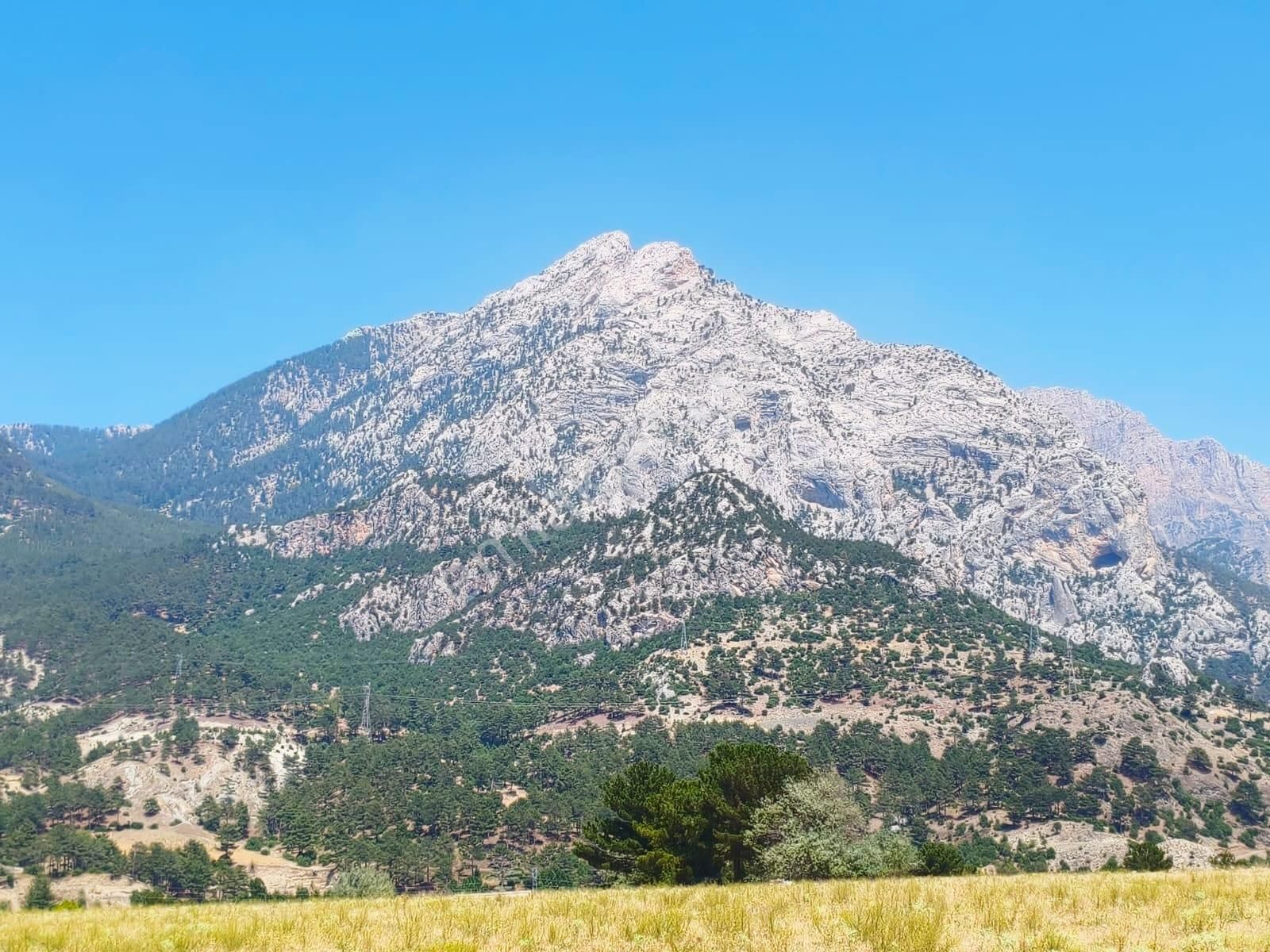 Pozantı Kar Emlaktan Eski Konacıkta 400 M2 Arsa - Görsel 13