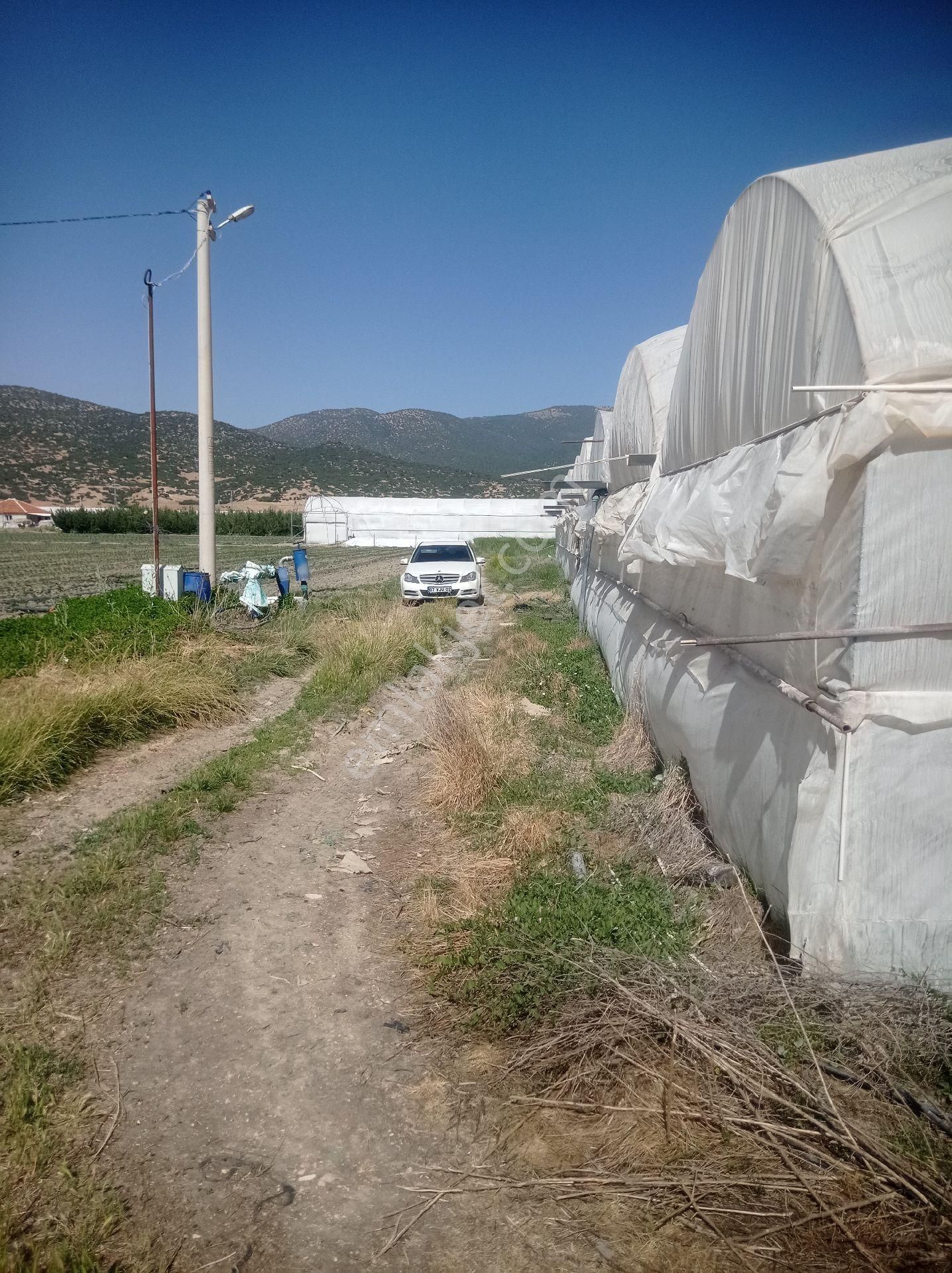 Elmali Yakaciftlikte Satilik Sera Ve Tarla