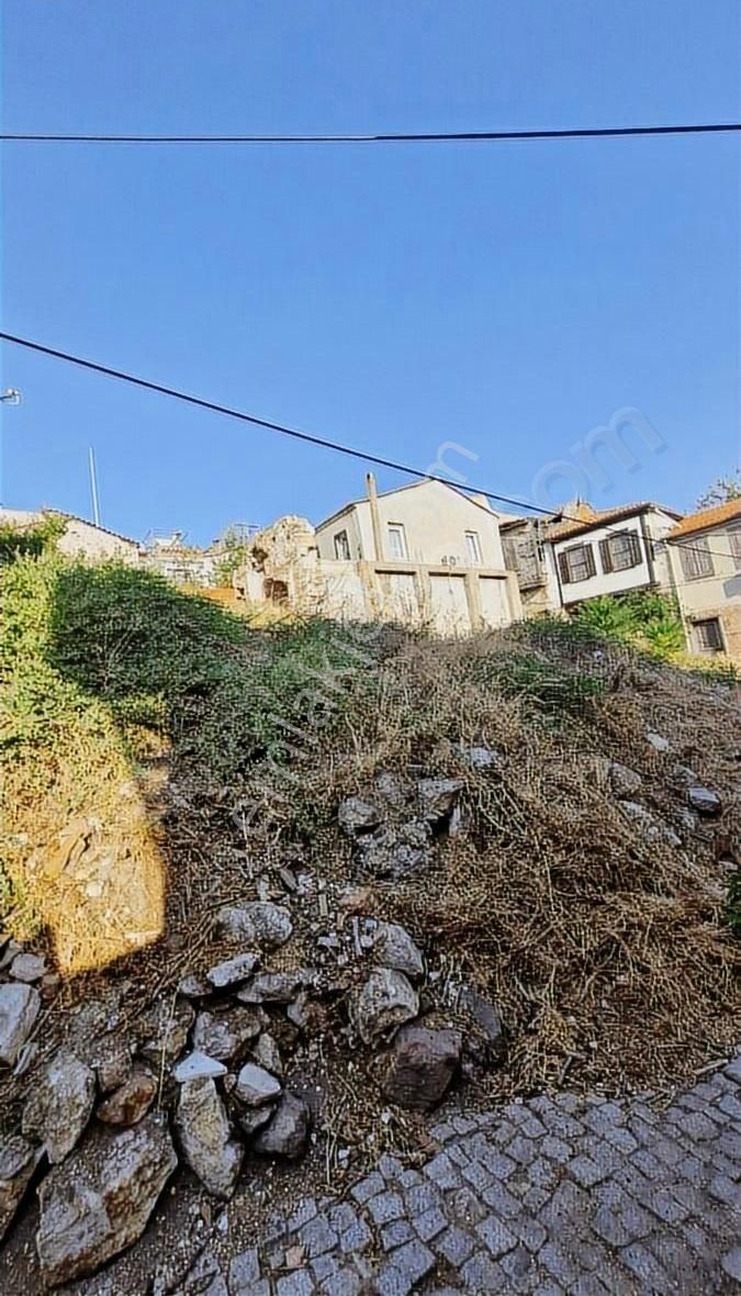 Ayvalık Merkezi Konumda 2 Arsa Tek Fiyat _kaçırılmaz Fırsat_ - Görsel 2