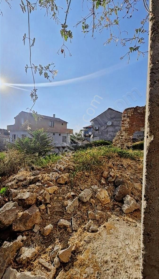 Ayvalık Merkezi Konumda 2 Arsa Tek Fiyat _kaçırılmaz Fırsat_ - Görsel 4