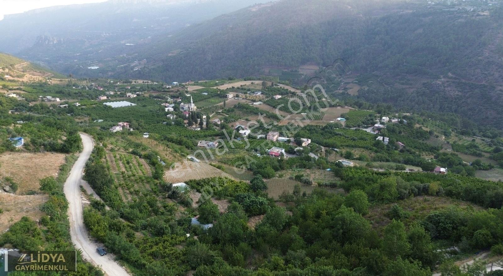 1,568 M2 Müstakil Tapu 2 Kat 2 Adet Konut İmarlı Şeftali Bahçesi - Görsel 12