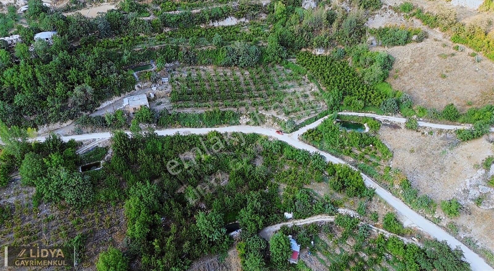 1,568 M2 Müstakil Tapu 2 Kat 2 Adet Konut İmarlı Şeftali Bahçesi - Görsel 3
