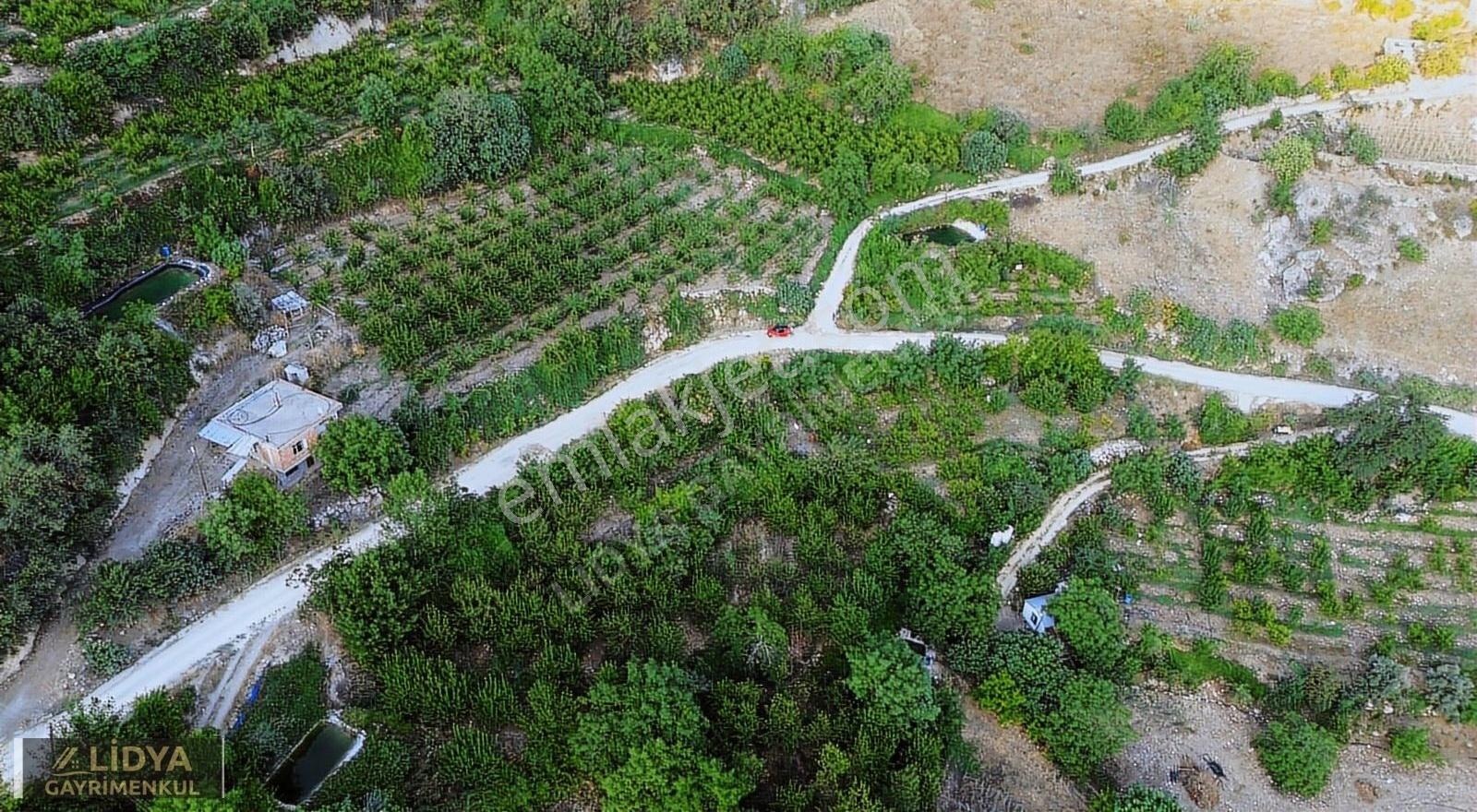 1,568 M2 Müstakil Tapu 2 Kat 2 Adet Konut İmarlı Şeftali Bahçesi - Görsel 2
