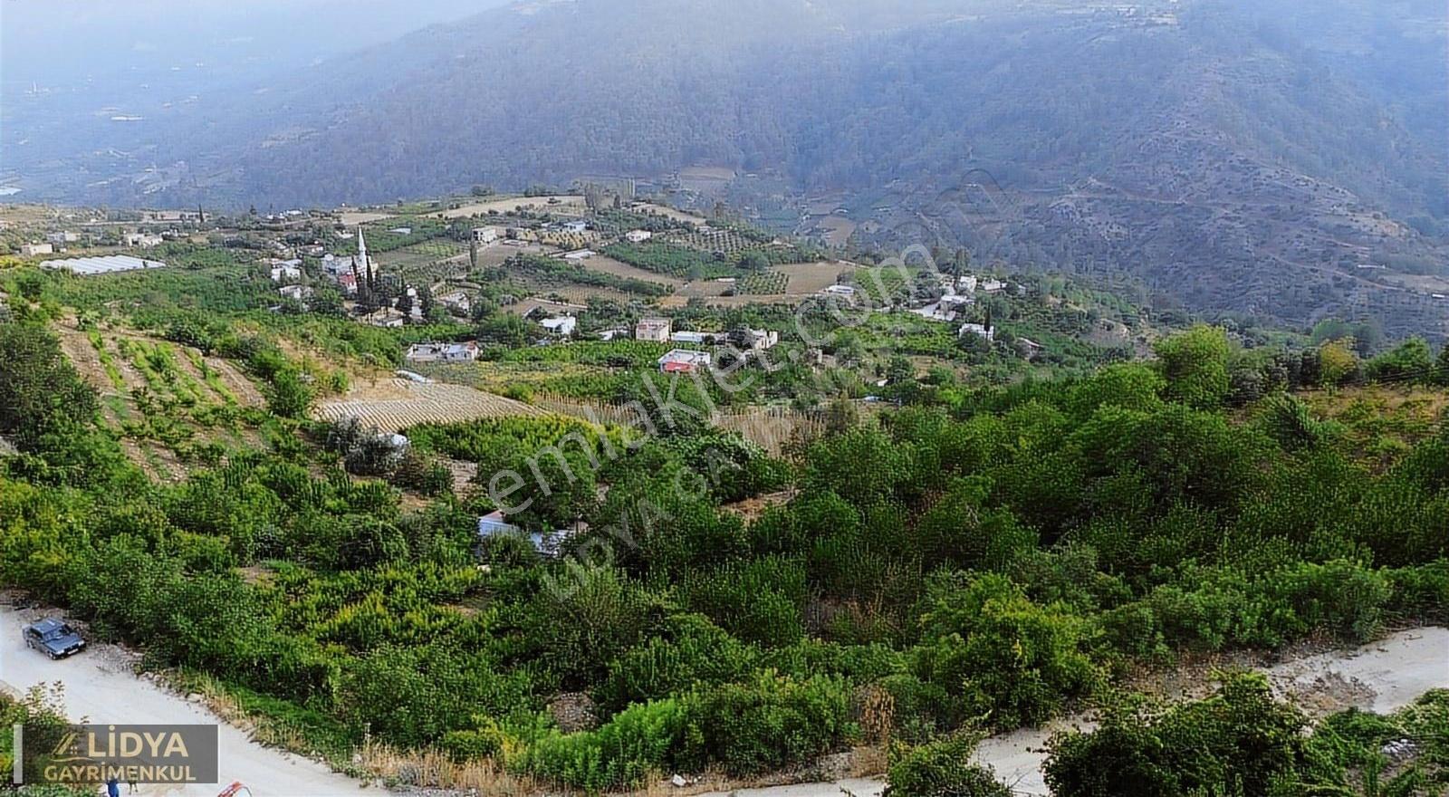 1,568 M2 Müstakil Tapu 2 Kat 2 Adet Konut İmarlı Şeftali Bahçesi