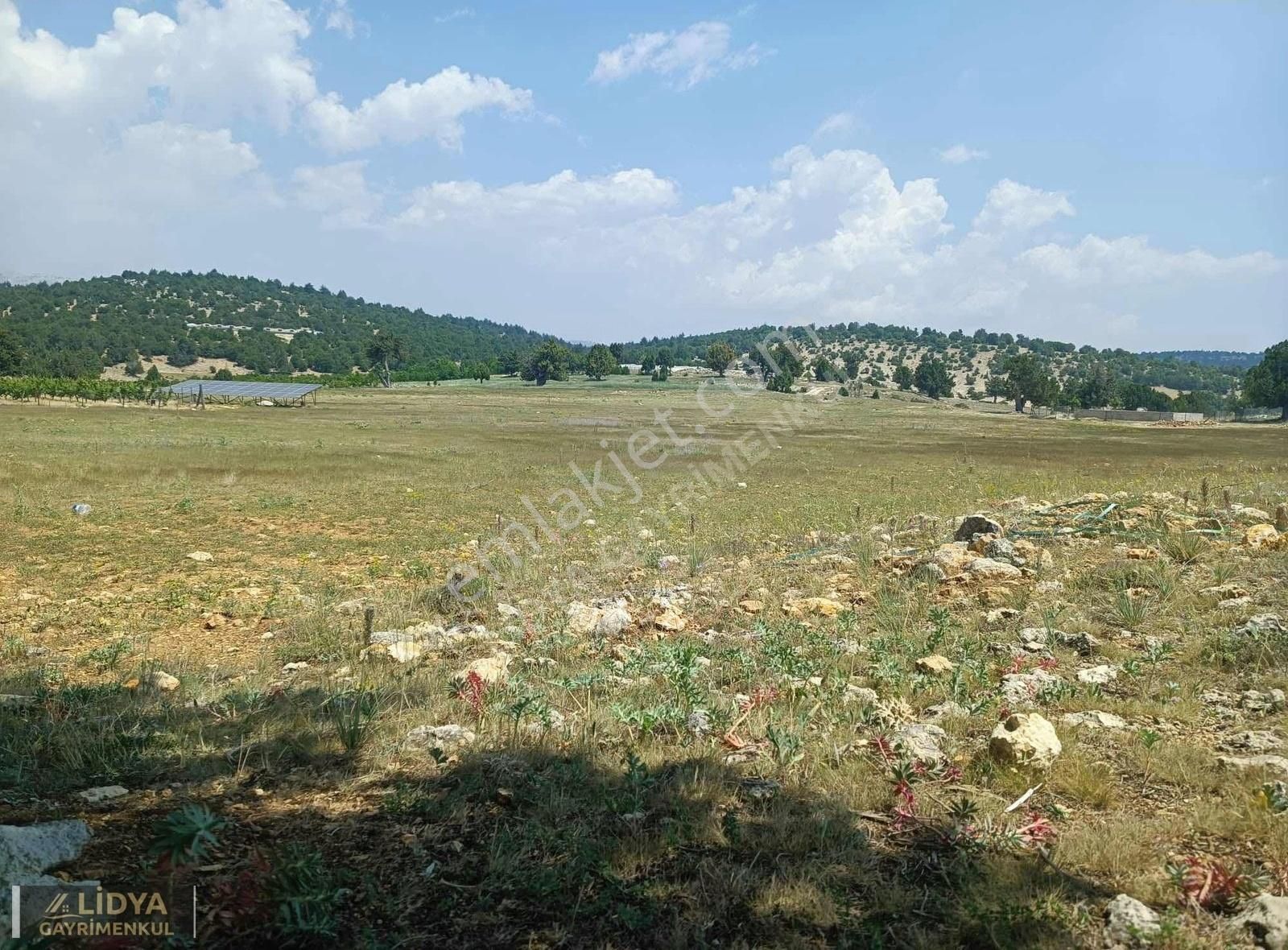 Lidya'dan Güzeloluk'ta 500 M2 Satılık Tarla - Görsel 4