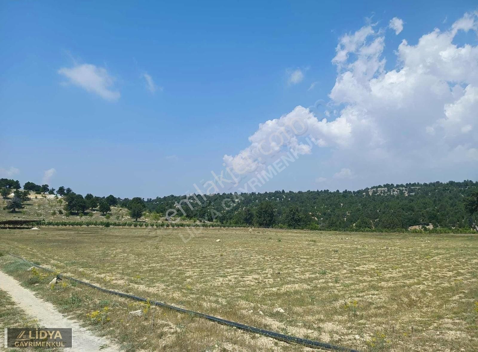 Lidya'dan Güzeloluk'ta 500 M2 Satılık Tarla - Görsel 5