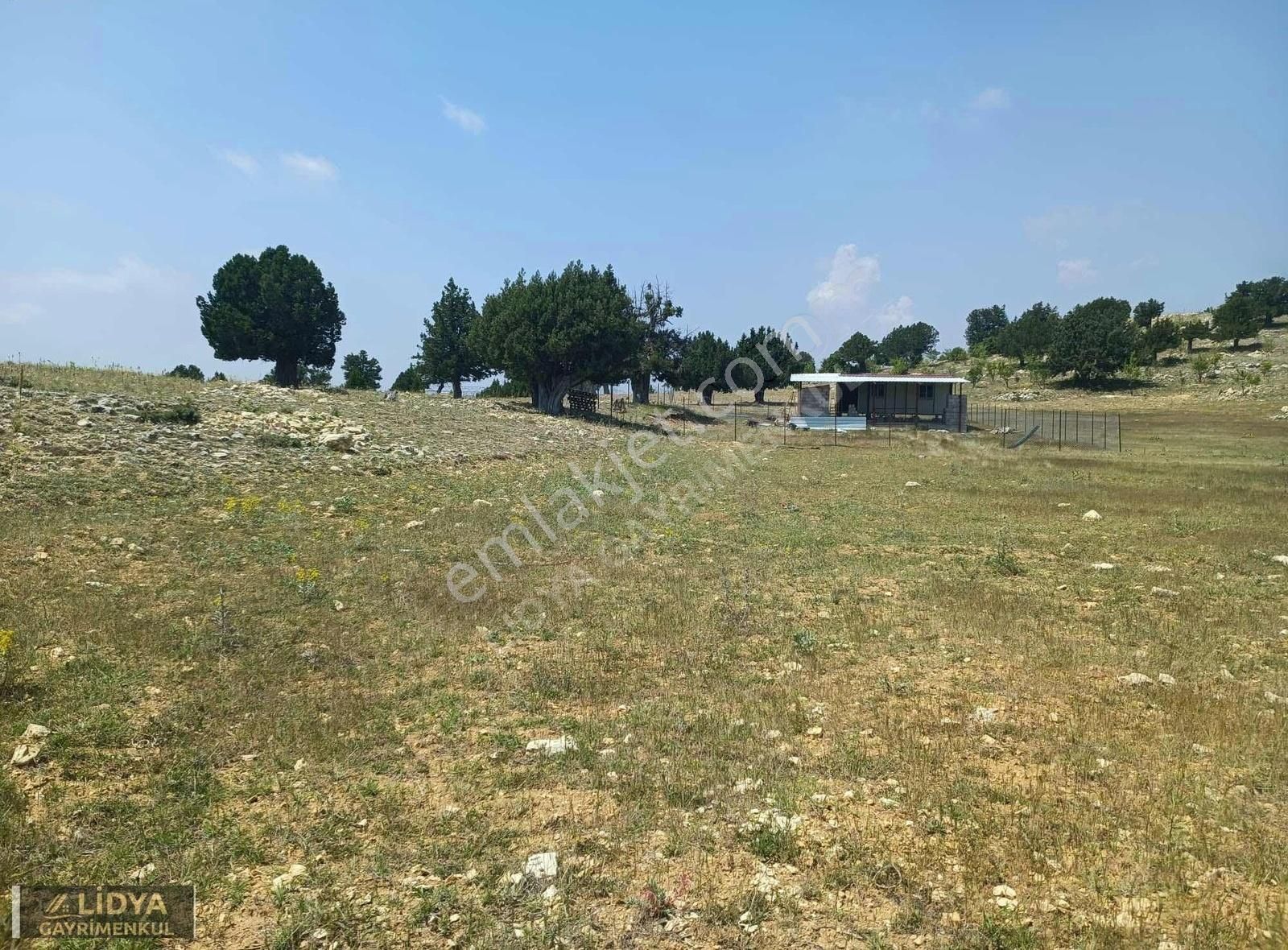 Lidya'dan Güzeloluk'ta 500 M2 Satılık Tarla - Görsel 2