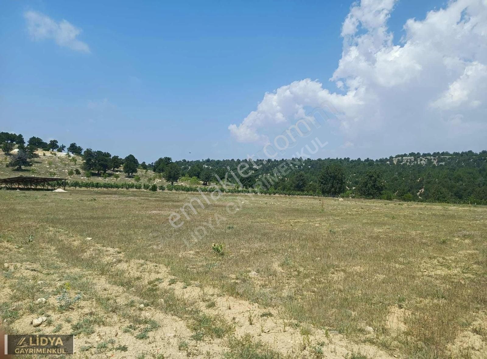 Lidya'dan Güzeloluk'ta 500 M2 Satılık Tarla - Görsel 3
