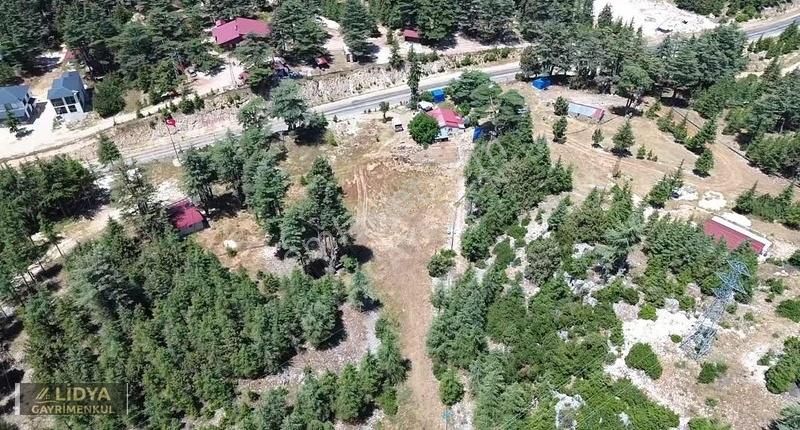 Aydınlarda Doğa Manzaralı Satılık Arsa - Görsel 7
