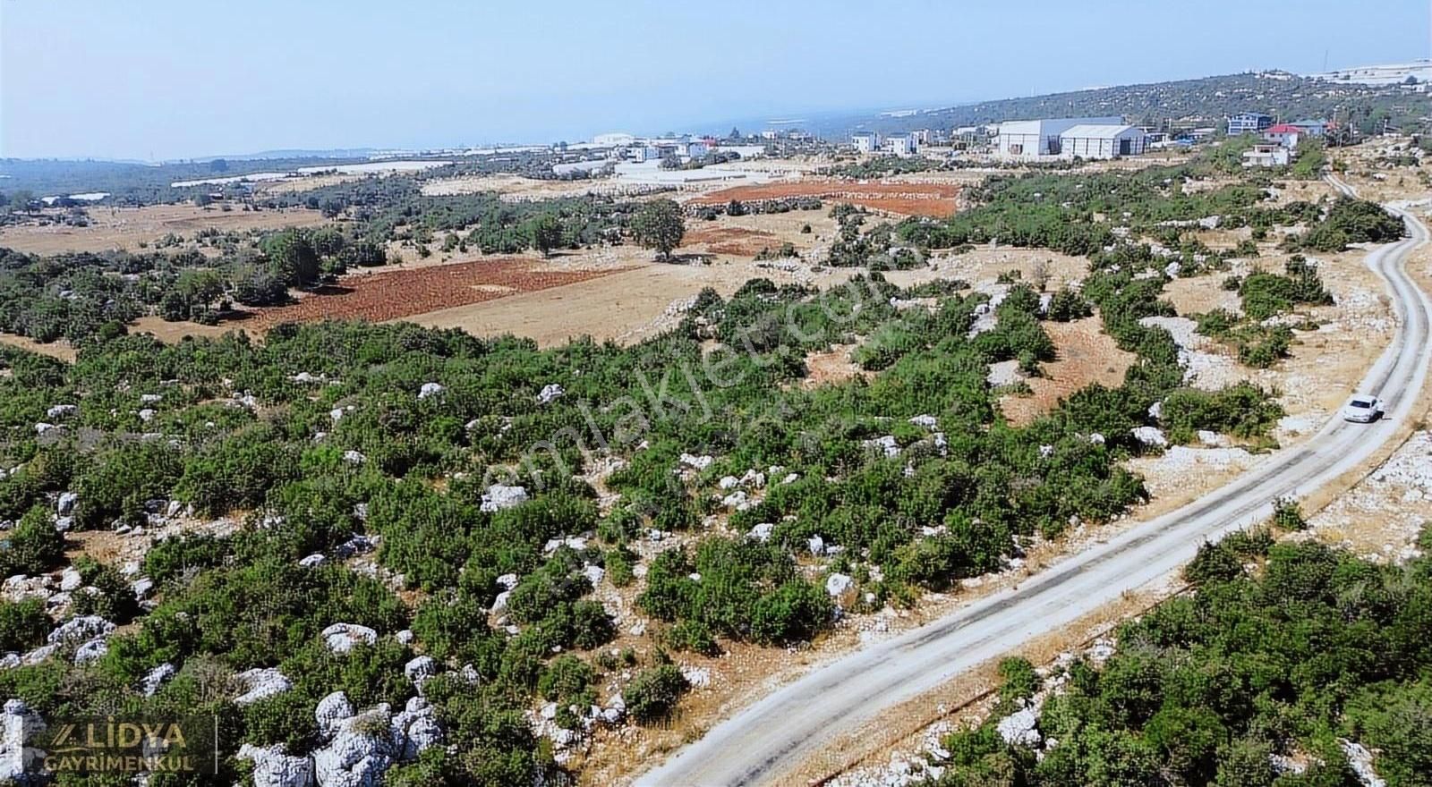 Erdemli Aslanlı Mahallesinde 8.840 M2 Villa Ve Soğuk Havalık Yer - Görsel 3