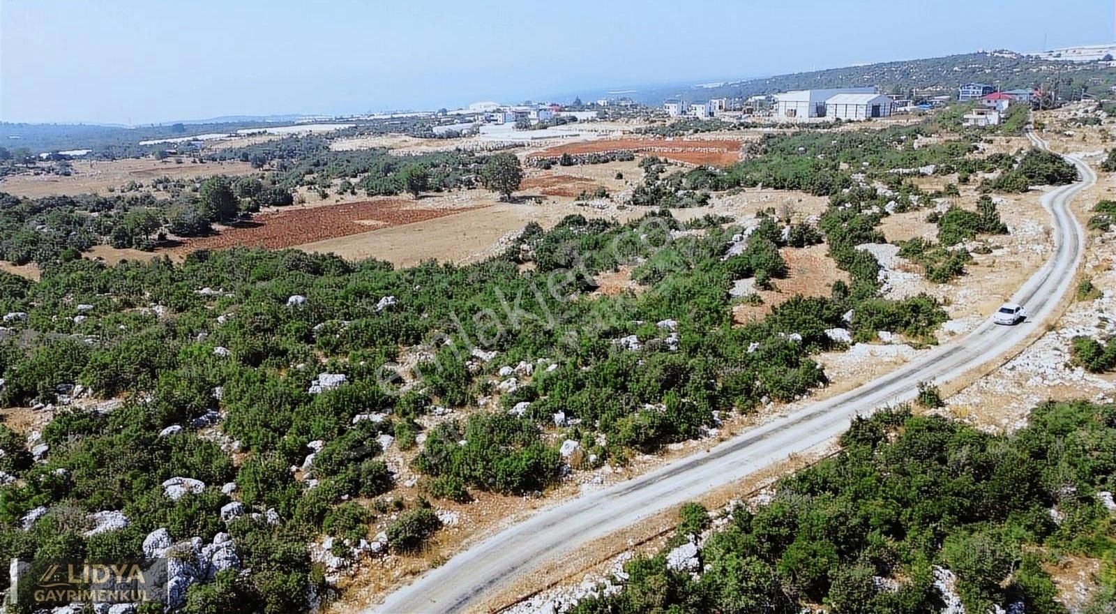 Erdemli Aslanlı Mahallesinde 8.840 M2 Villa Ve Soğuk Havalık Yer - Görsel 5