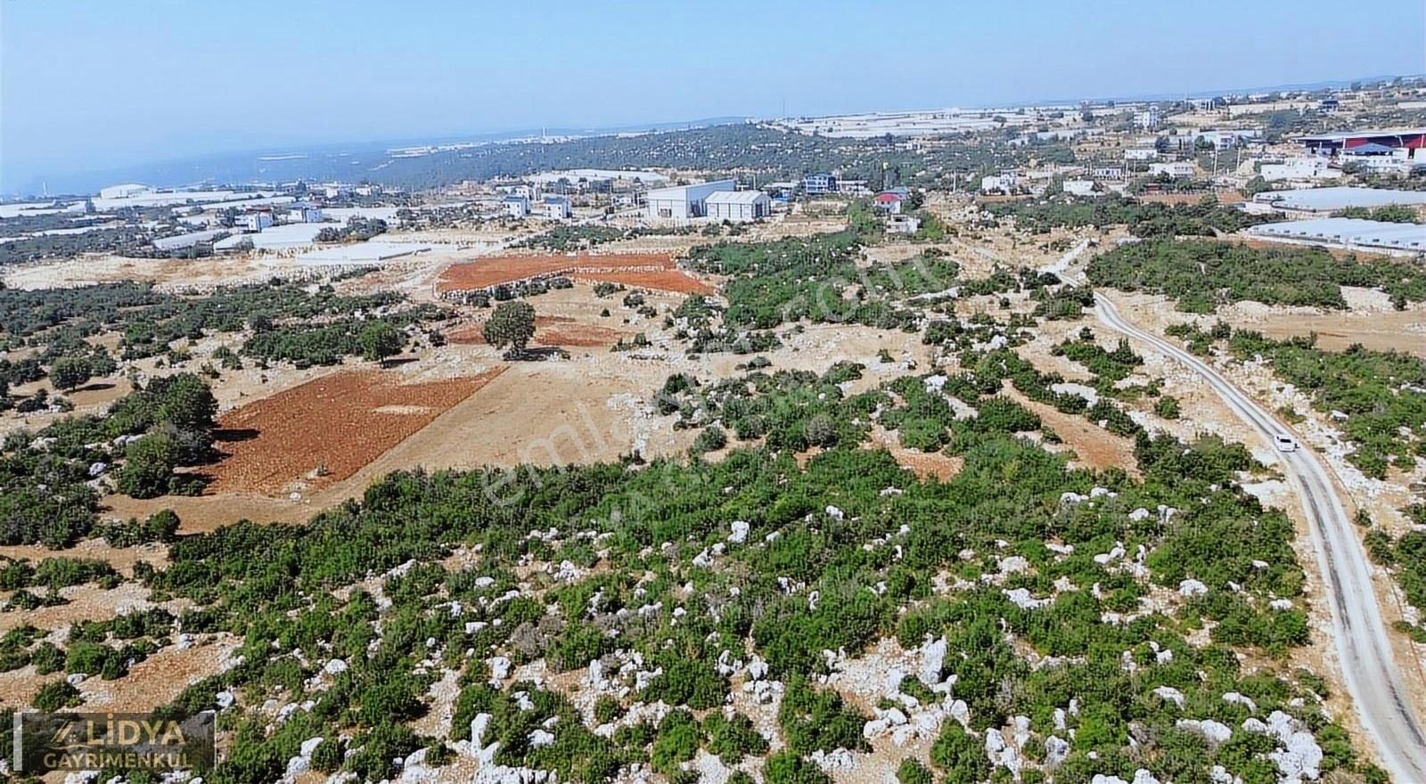 Erdemli Aslanlı Mahallesinde 8.840 M2 Villa Ve Soğuk Havalık Yer - Görsel 6