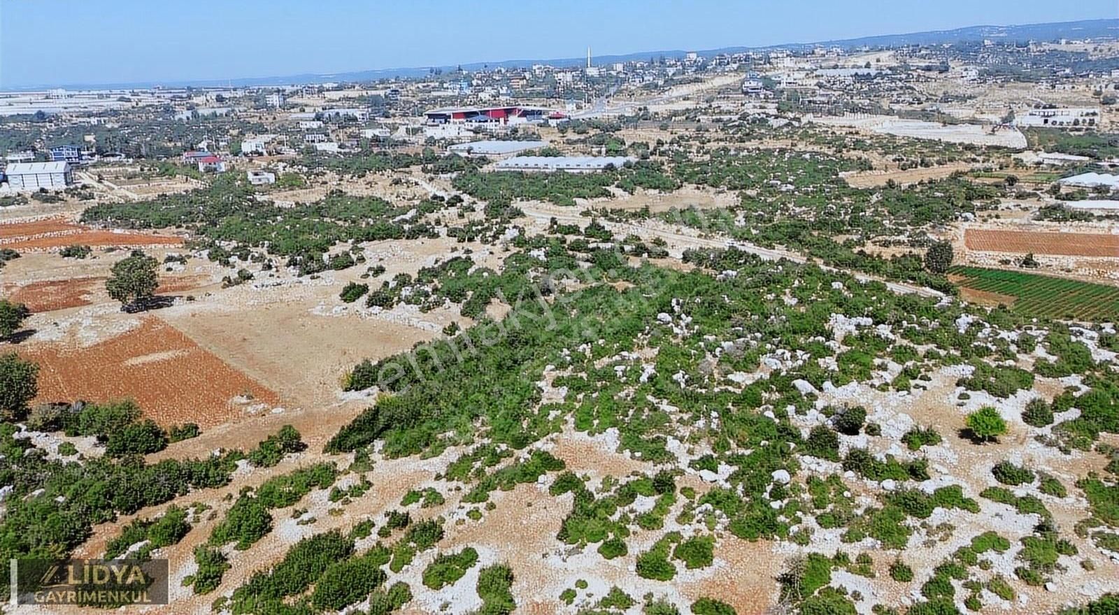 Erdemli Aslanlı Mahallesinde 8.840 M2 Villa Ve Soğuk Havalık Yer - Görsel 2