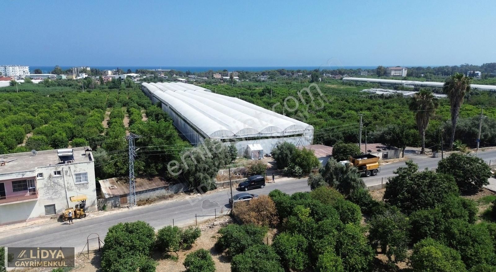 5,880 M2 Muz Ve Avokado Serası Ve 1 Müstakil Ev Müstakil Tapu - Görsel 6