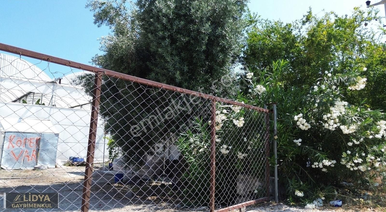 5,880 M2 Muz Ve Avokado Serası Ve 1 Müstakil Ev Müstakil Tapu - Görsel 8