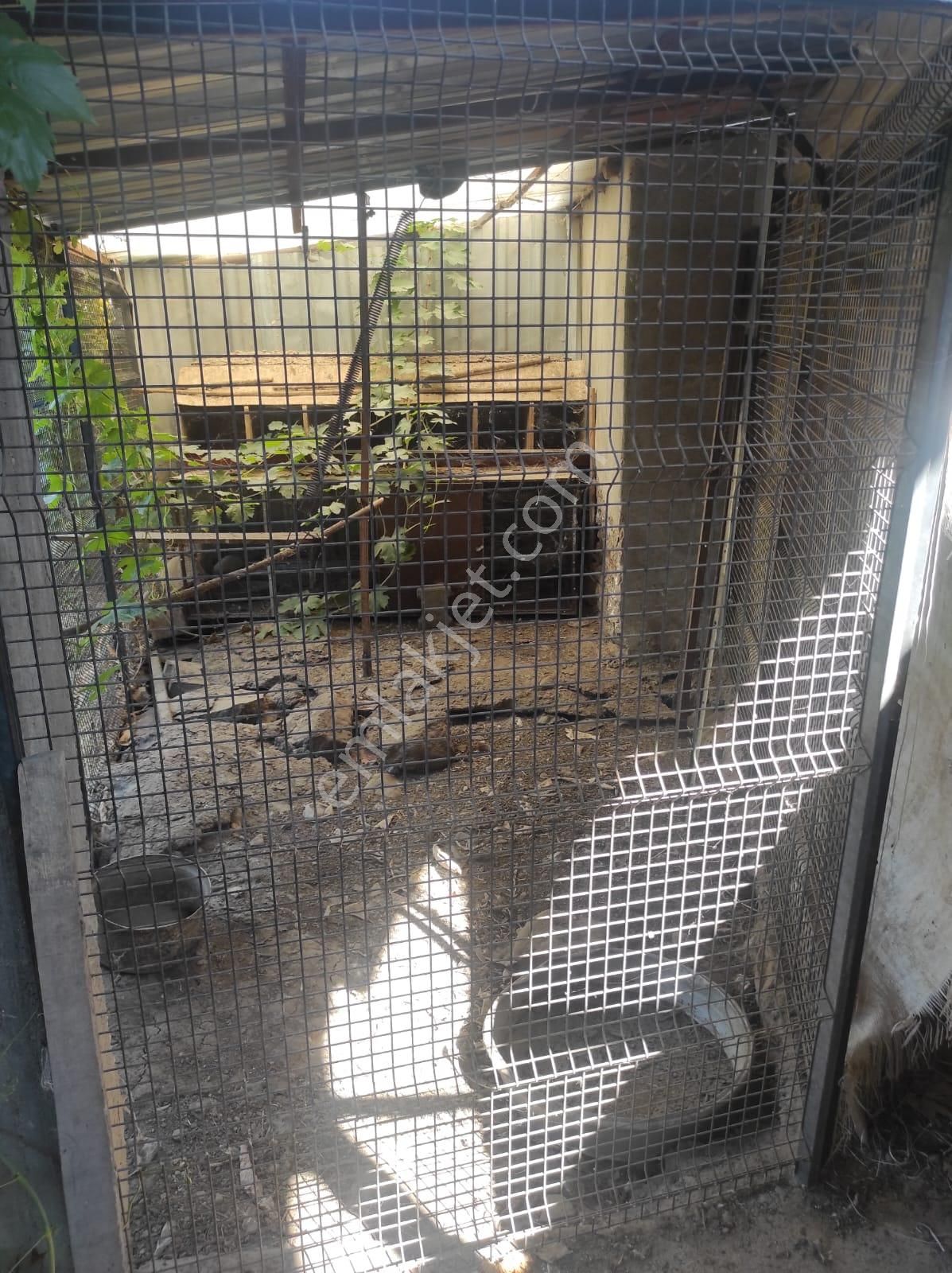 Salihli Beylikli Mah. Satılık Köy Evi - Görsel 17