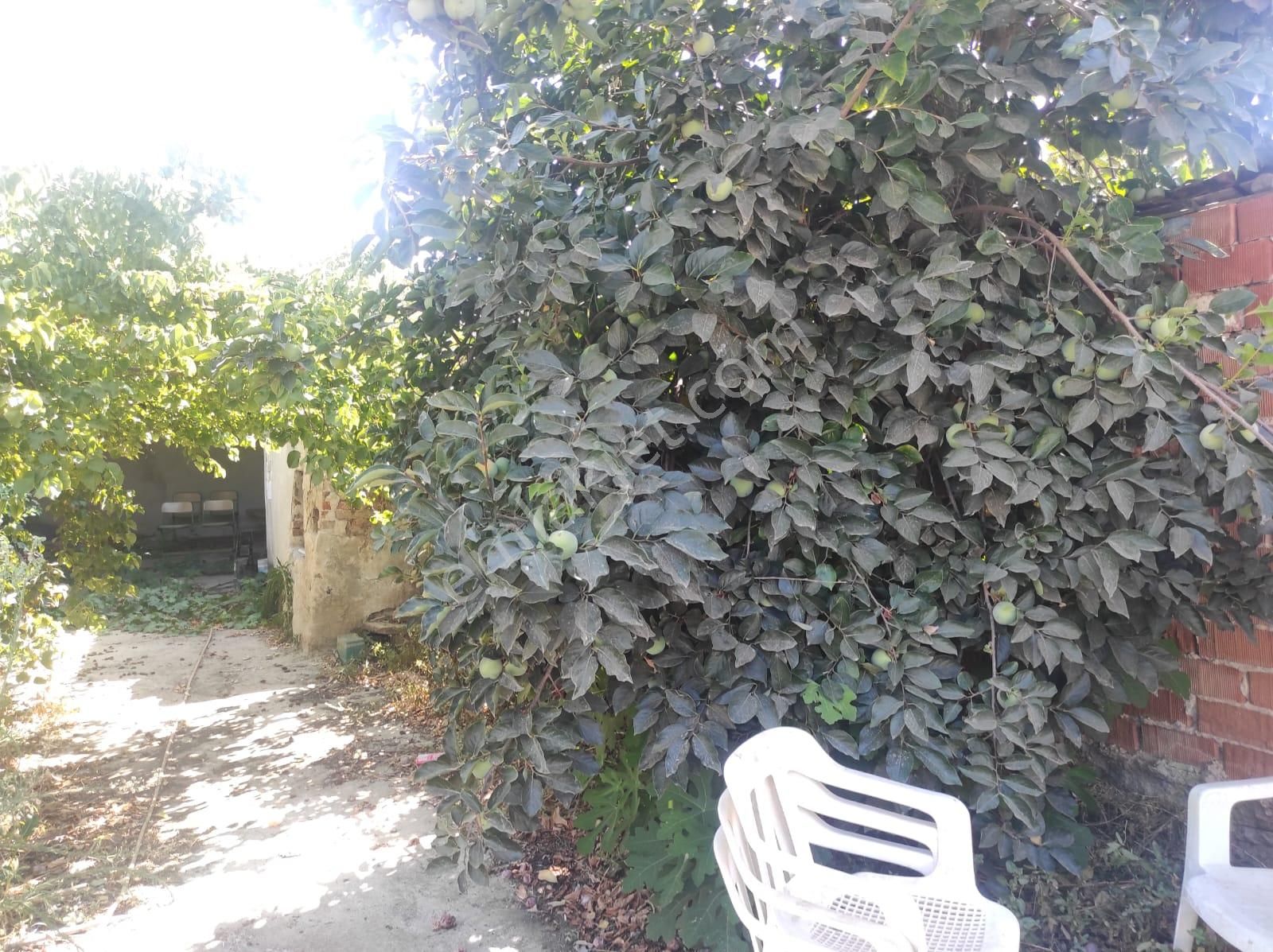 Salihli Beylikli Mah. Satılık Köy Evi - Görsel 21