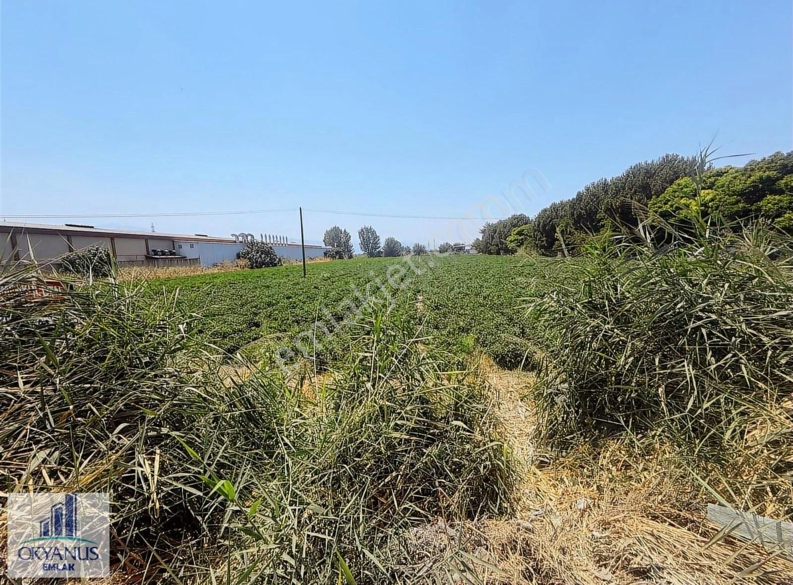 Salihli De 10.000 M2 Sanayi İmarlı Arazi, Yola 67 Mt Cepheli - Görsel 14