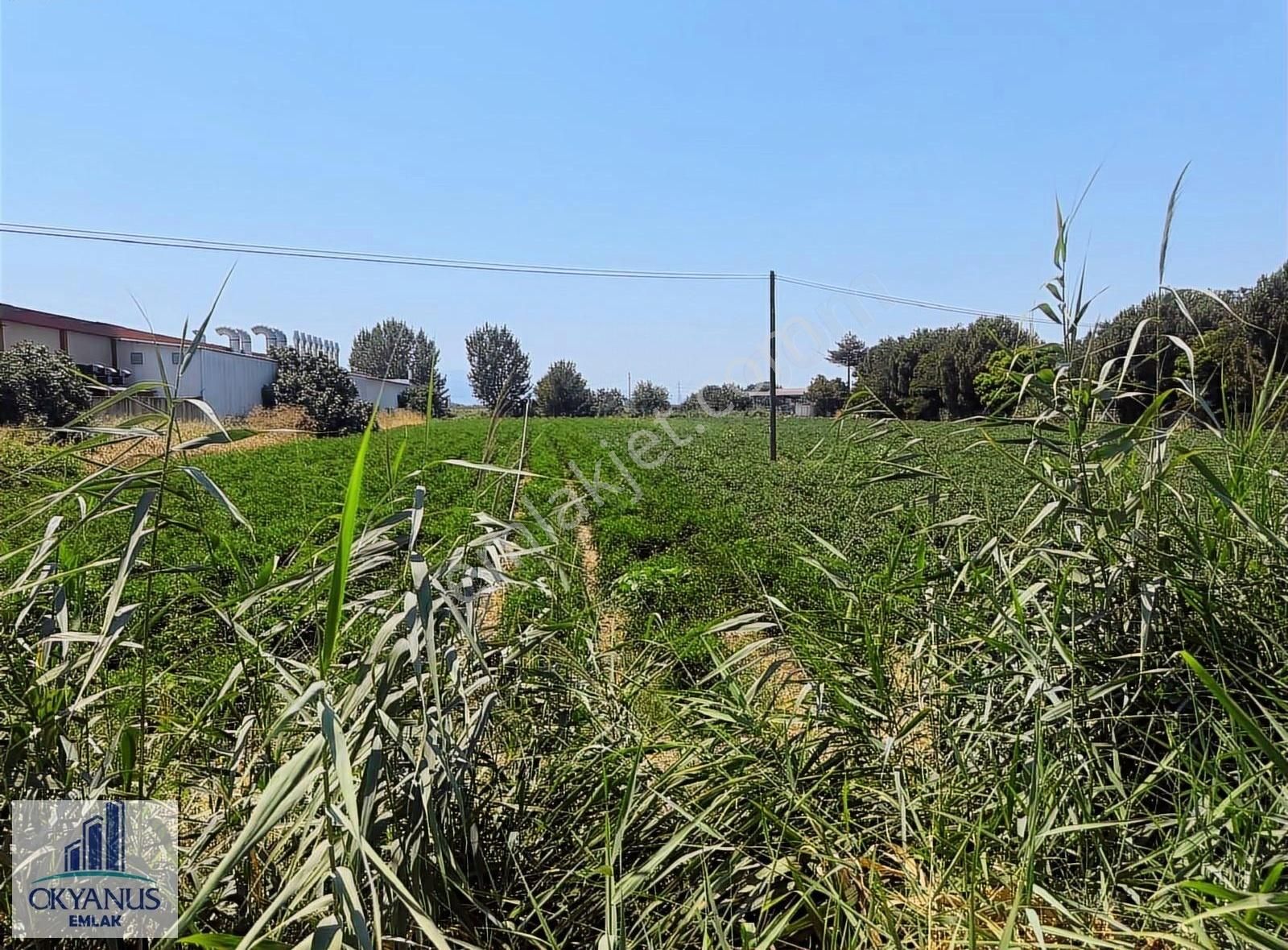 Salihli De 10.000 M2 Sanayi İmarlı Arazi, Yola 67 Mt Cepheli - Görsel 6