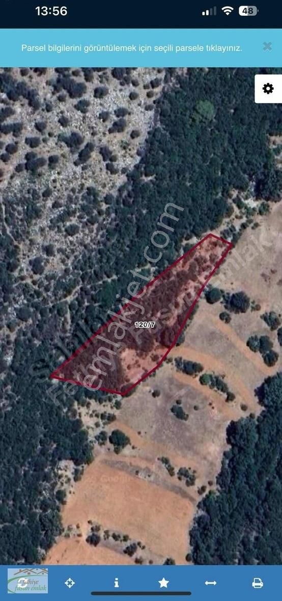 Füsun Emlak'tan Çenger Köyün'de Hisseli 495 M2 Arazi Satılıktır