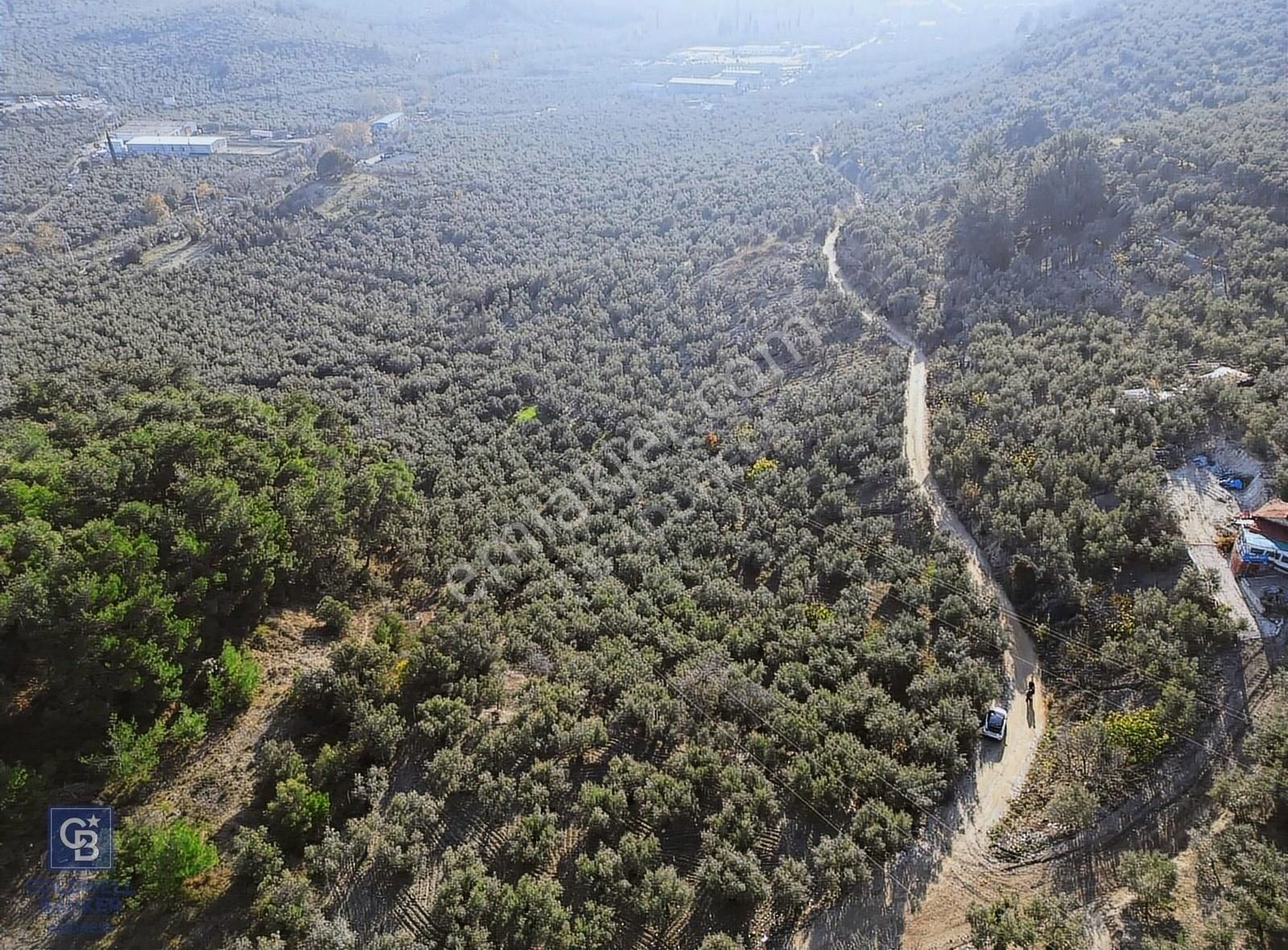 Bursa Mudanya Ömerbey Mh.'nde İmar Planına Yakın Zeytinlik - Görsel 6