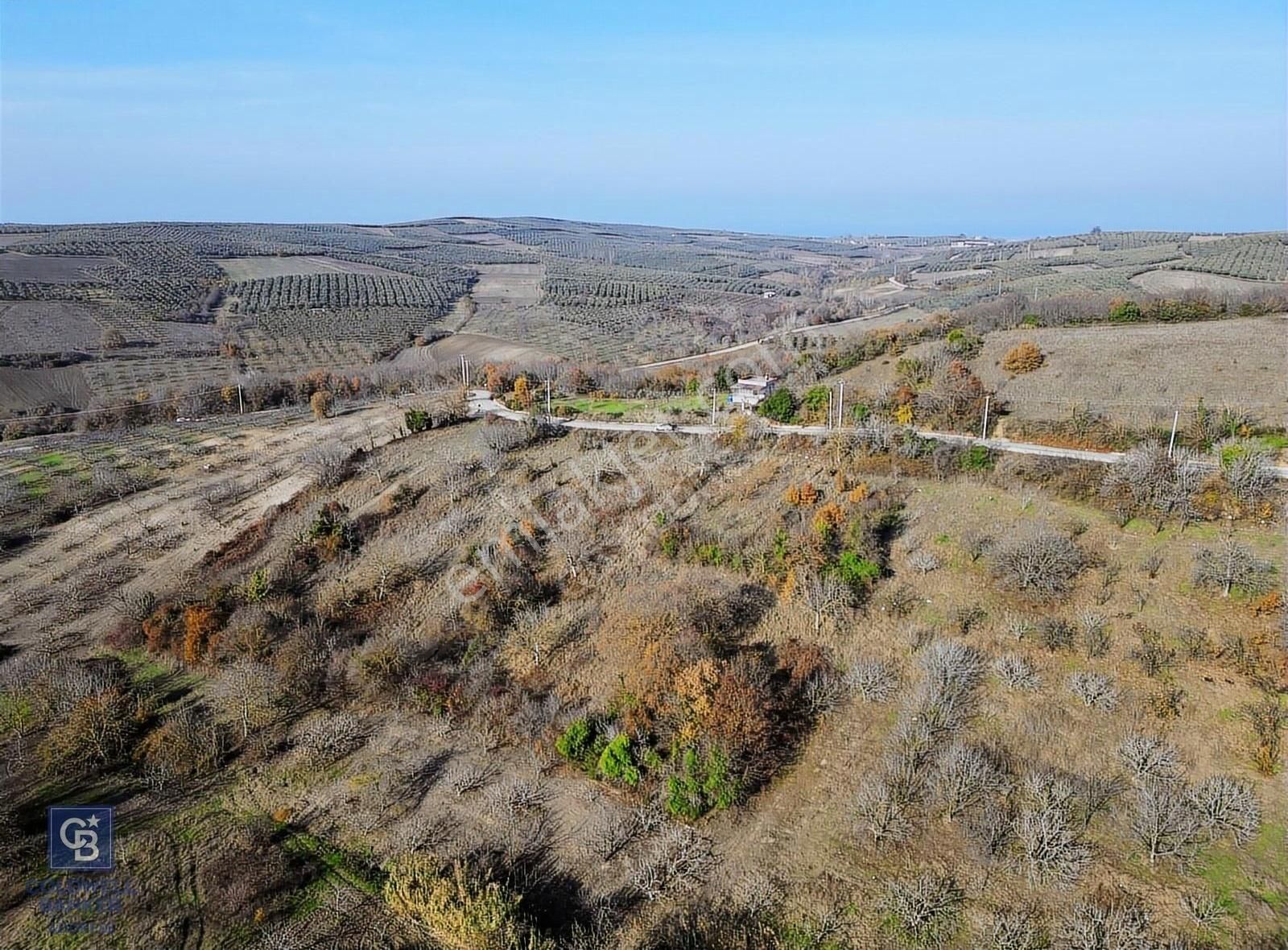 Bursa Mudanya Yaman Mh.'de Yola Cephe Satılık Tarla - Görsel 5