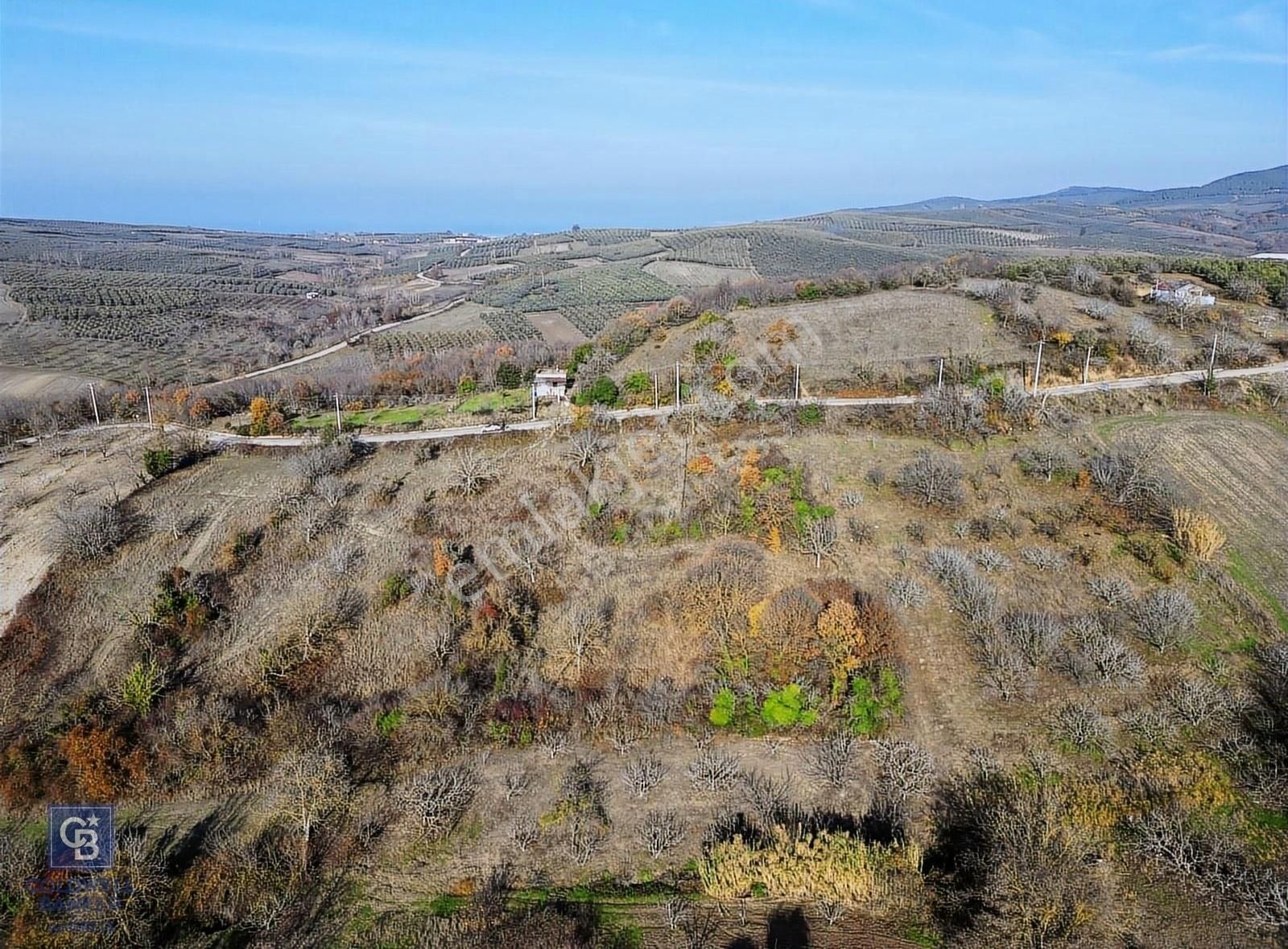 Bursa Mudanya Yaman Mh.'de Yola Cephe Satılık Tarla - Görsel 2
