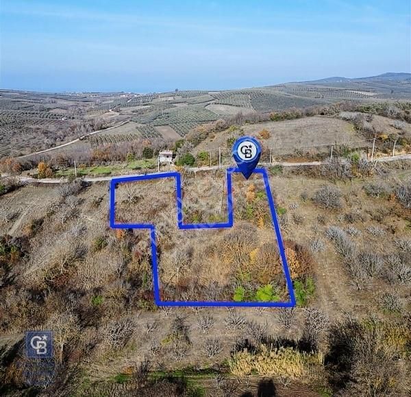 Bursa Mudanya Yaman Mh.'de Yola Cephe Satılık Tarla