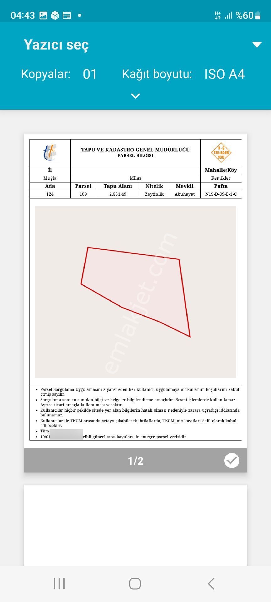 Milas Kemikler Köyünde Satılık Zeytinlik. - Görsel 33