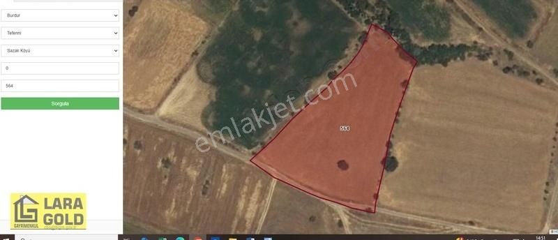 Burdur Tefenni Sazakta 6,5 Dönüm Tek Tapu Tarla - Görsel 2