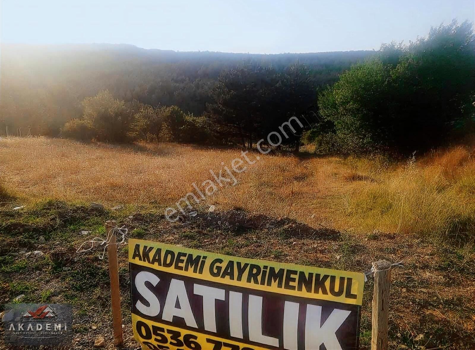 İstanbul Karabük Yolu Ana Yol Kenarında Satılık 1323 M2 Tarla