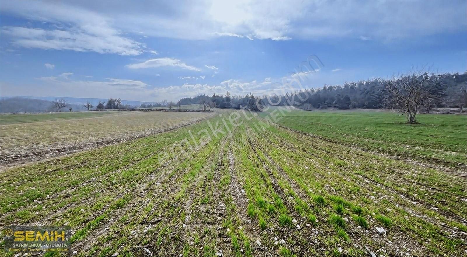 Semih'den Gökçesuda Yolu Suyu Başında Bölgeninin En Uygunu - Görsel 5