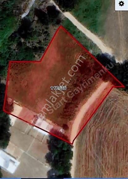 Çatalca Celep Köy De İfrazli, Muvafakatnameli 271 M2 Parsel
