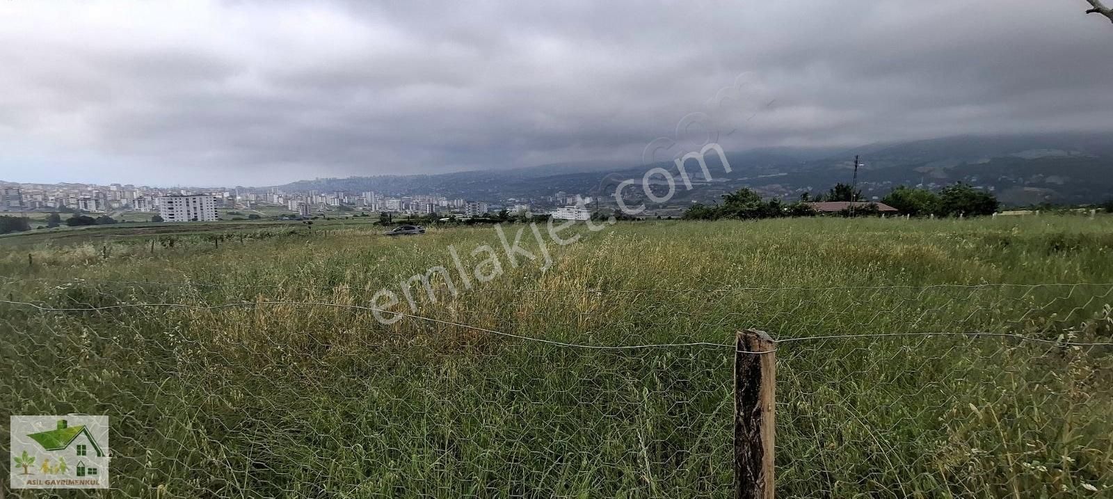 Samsun Ataköy'de 6 Katı İmar 1050 Metrekare Arsa