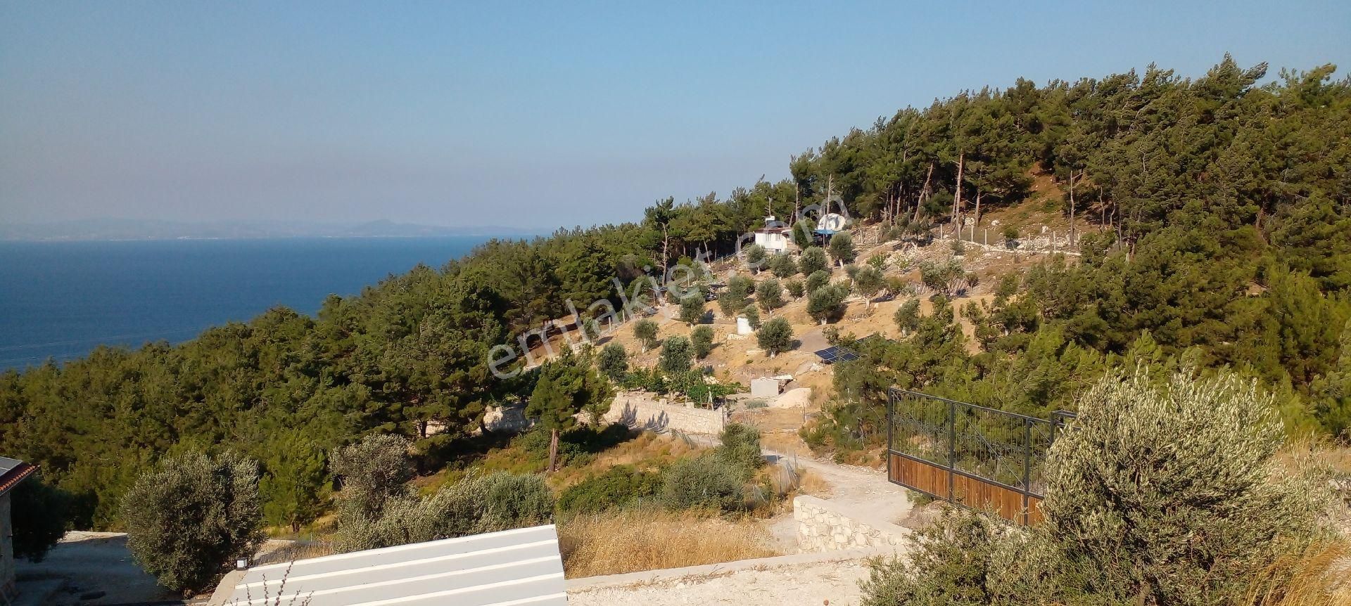 Mor Çiçek Emlak Mordoğan Ķöyünde Satılık Tarla - Görsel 11