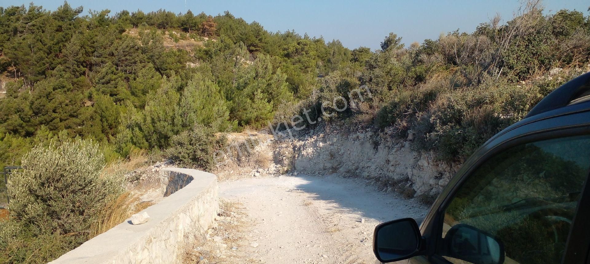 Mor Çiçek Emlak Mordoğan Ķöyünde Satılık Tarla - Görsel 6